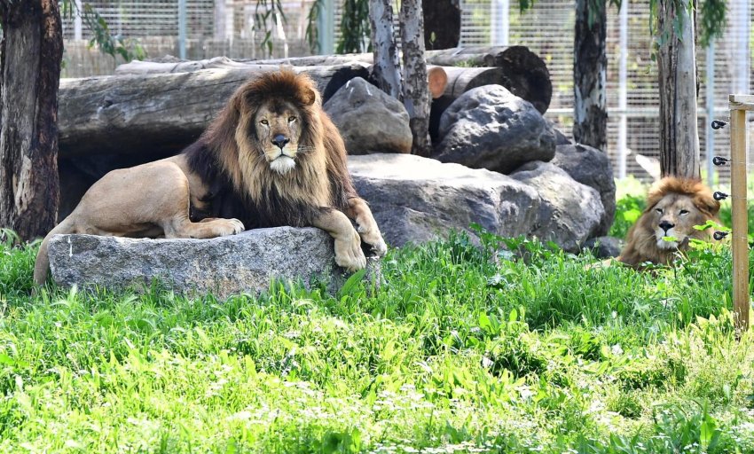 İzmir Doğal Yaşam Farkı