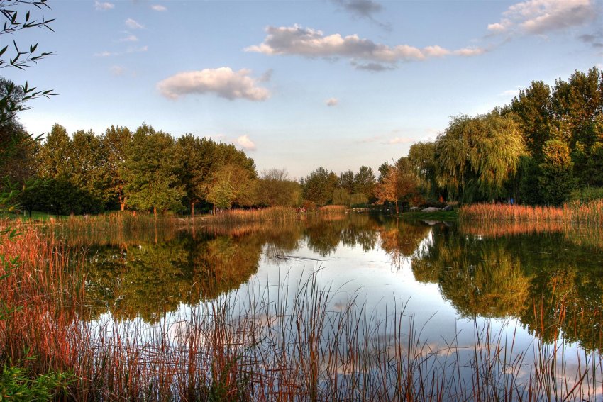 Bursa Soğanlı Botanik Parkı Bursa Soğanlı Botanik Parkı