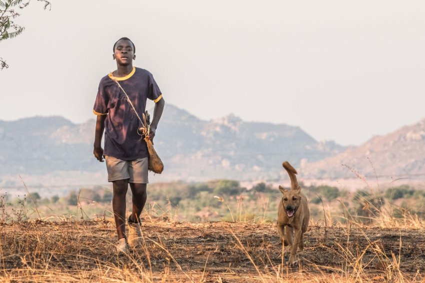 The Boy Who Harnessed the Wind