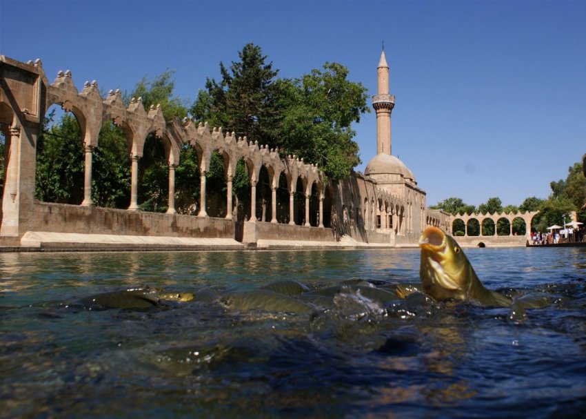 Şanlıurfa Balıklı Göl