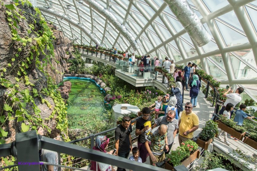 Tropikal Kelebek Bahçesi