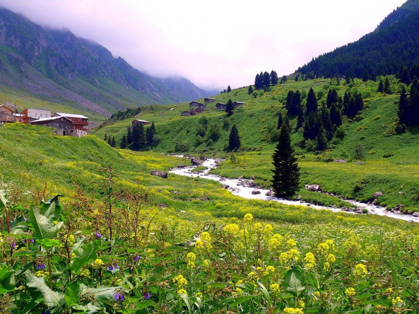Kuruçam ve Hıdırnebi Yaylaları