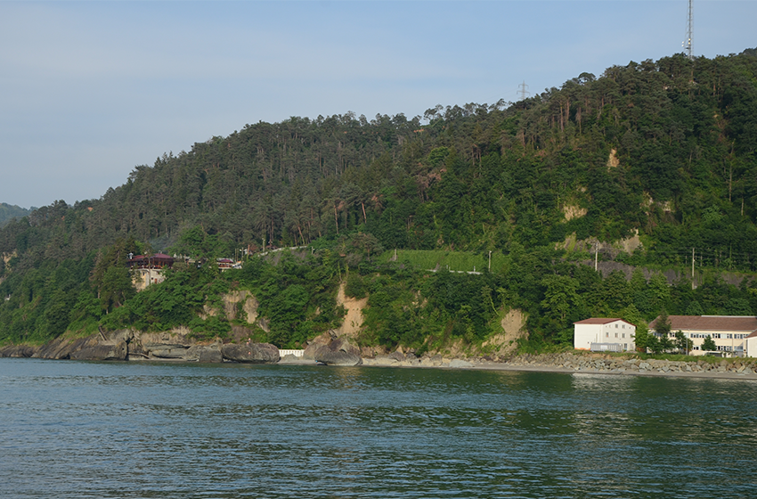 Çamburnu Tabiat Parkı