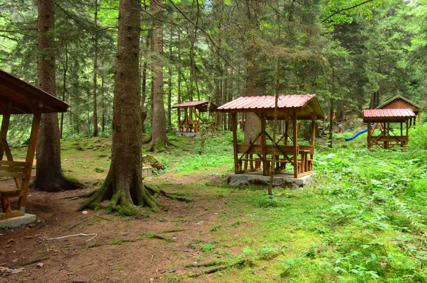 Altındere Vadisi Milli Parkı