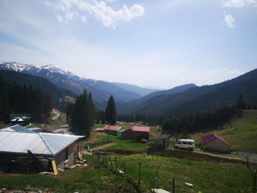 Tonya Erikbeli Yaylası