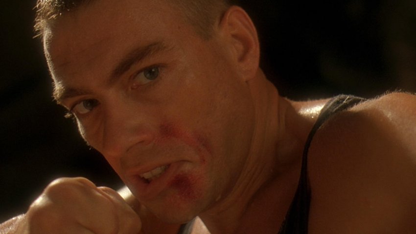 Özgürlük Savaşçısı Özgürlük Savaşçısı