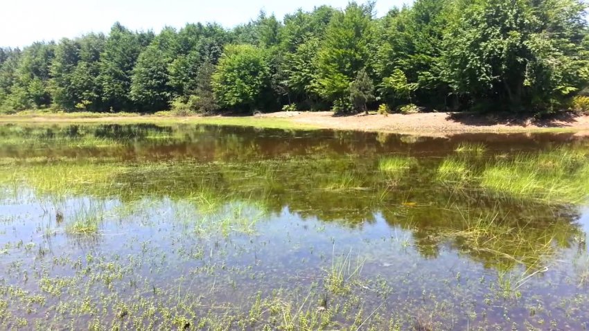 Karlık Yaylası Karlık Yaylası