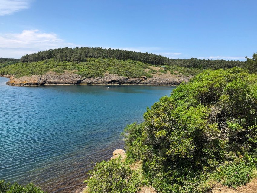 Hamsilos Köyü Hamsilos Köyü