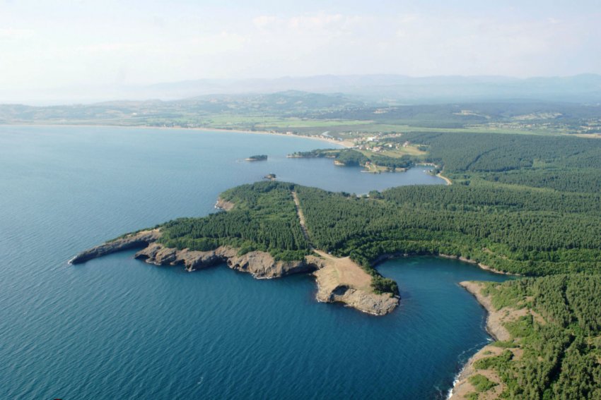 Sinop Akliman Sinop Akliman