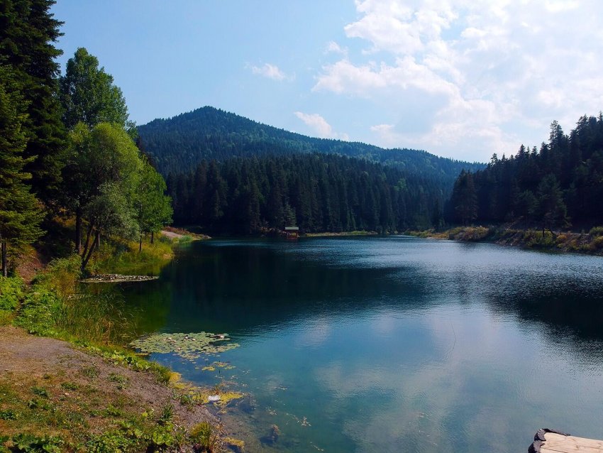 Sinop Akgöl Sinop Akgöl