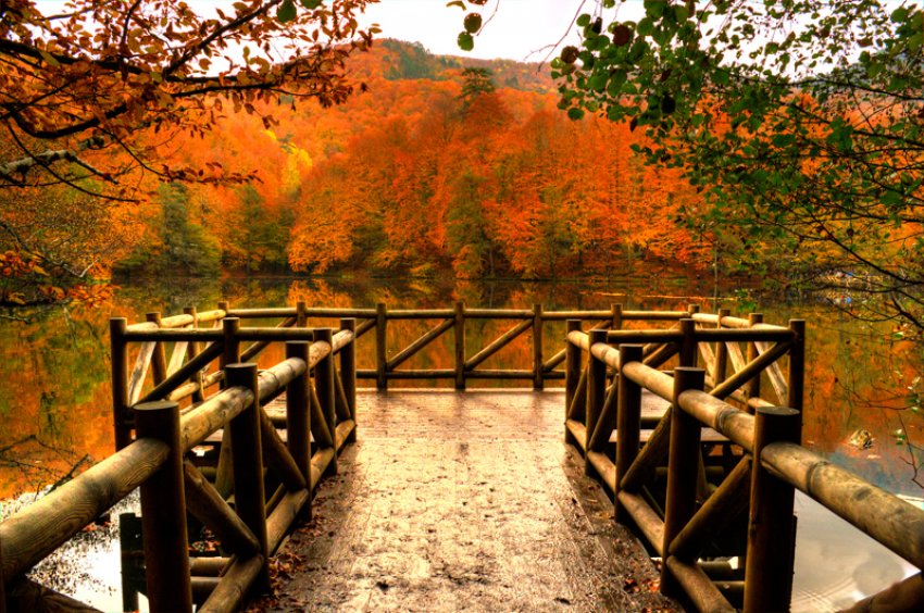 Yedigöller Milli Parkı