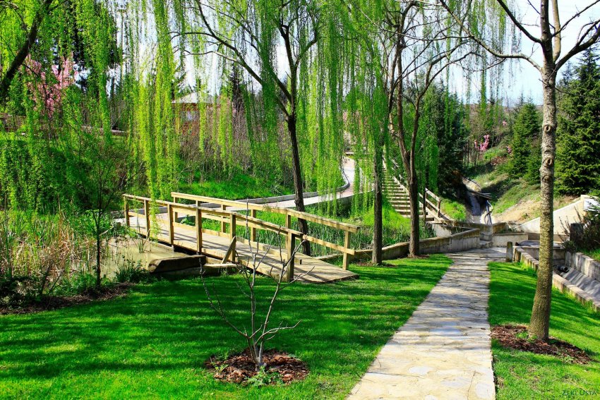 Nezahat Gökyiğit Botanik Bahçesi Nezahat Gökyiğit Botanik Bahçesi