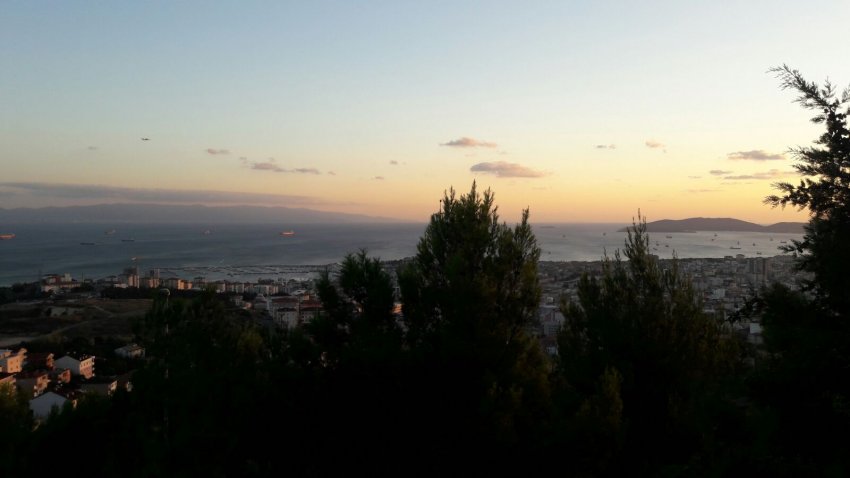 Gözdağı Korusu Gözdağı Korusu