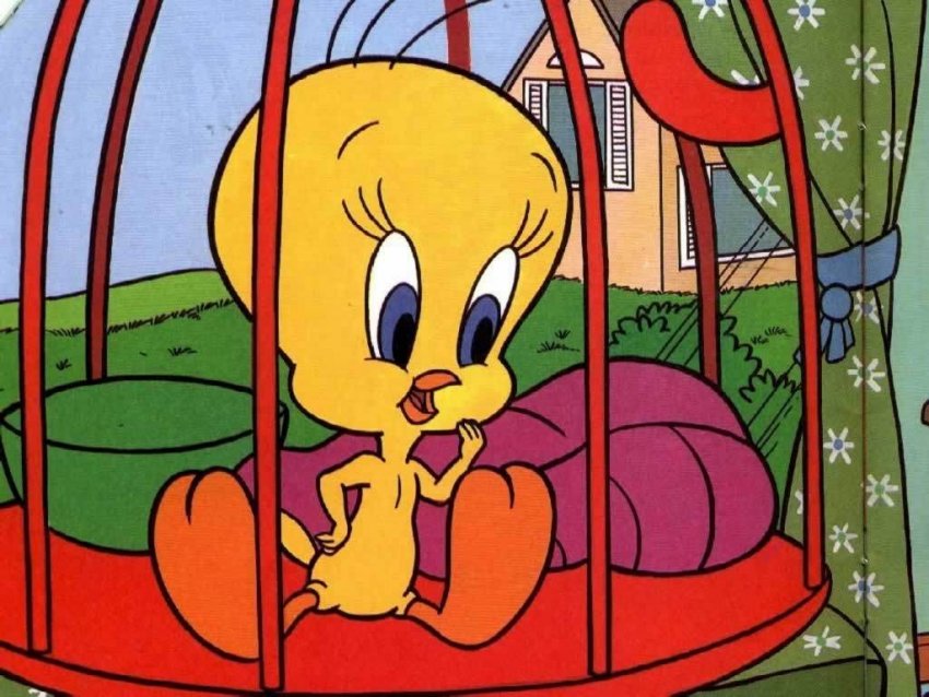 Tweety