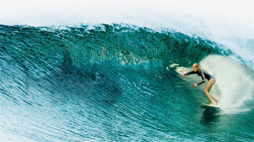 THE SHALLOWS KARANLIK SULAR THE SHALLOWS KARANLIK SULAR