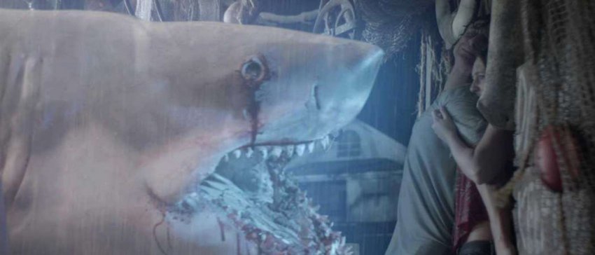 GHOST SHARK HAYALET KÖPEK BALIĞI GHOST SHARK HAYALET KÖPEK BALIĞI