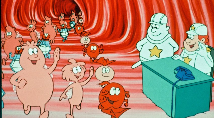 Vücudumuzu Tanıyalım  Vücudumuzu Tanıyalım