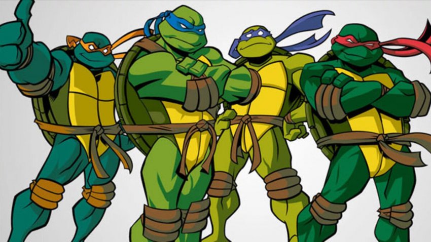 Ninja Kaplumbağalar Ninja Kaplumbağalar