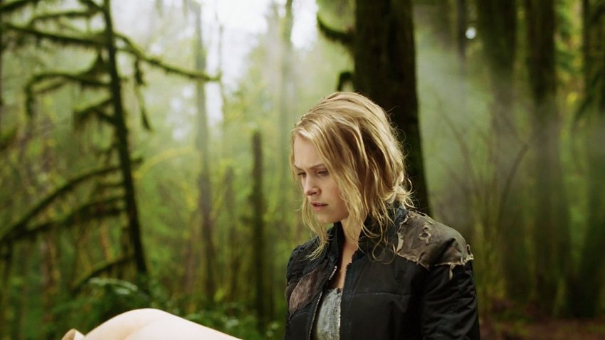 CLARKE GRIFFIN CLARKE GRIFFIN