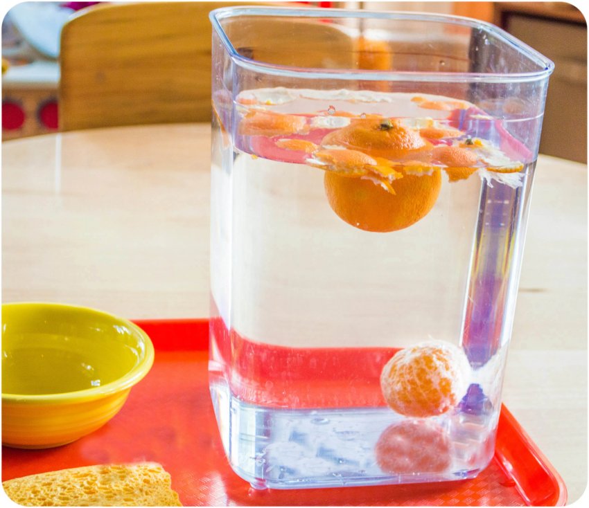 Mandalina Kabuğu Deneyi Mandalina Kabuğu Deneyi