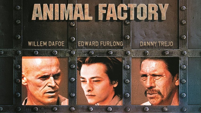 Animal Factory