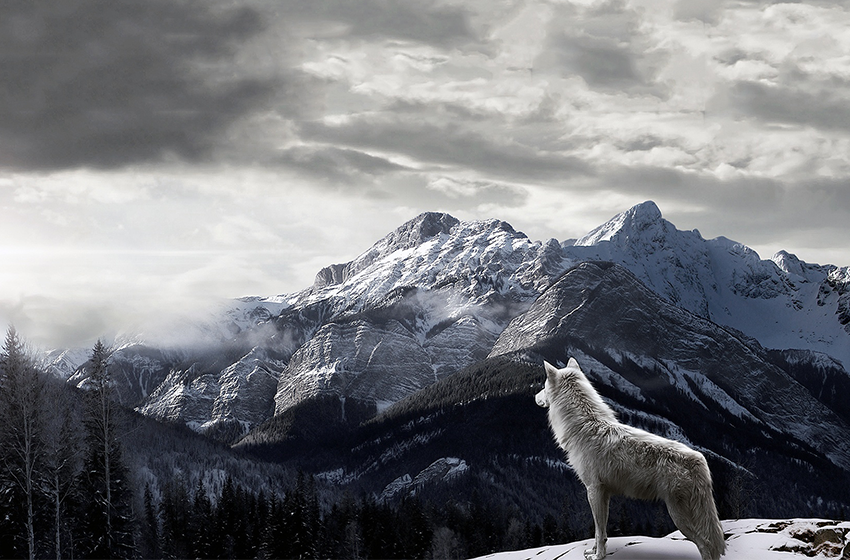 Kurt Filmleri: En İyi 10 Kurt Filmi