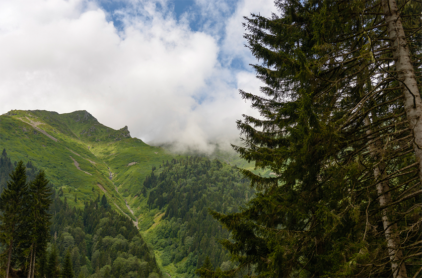 Trabzon'da Gezilecek Yerler Listesi